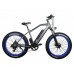 Электрофэтбайк El-sport bike TDE-08 500W Электрофэтбайк El-sport bike TDE-08 500W